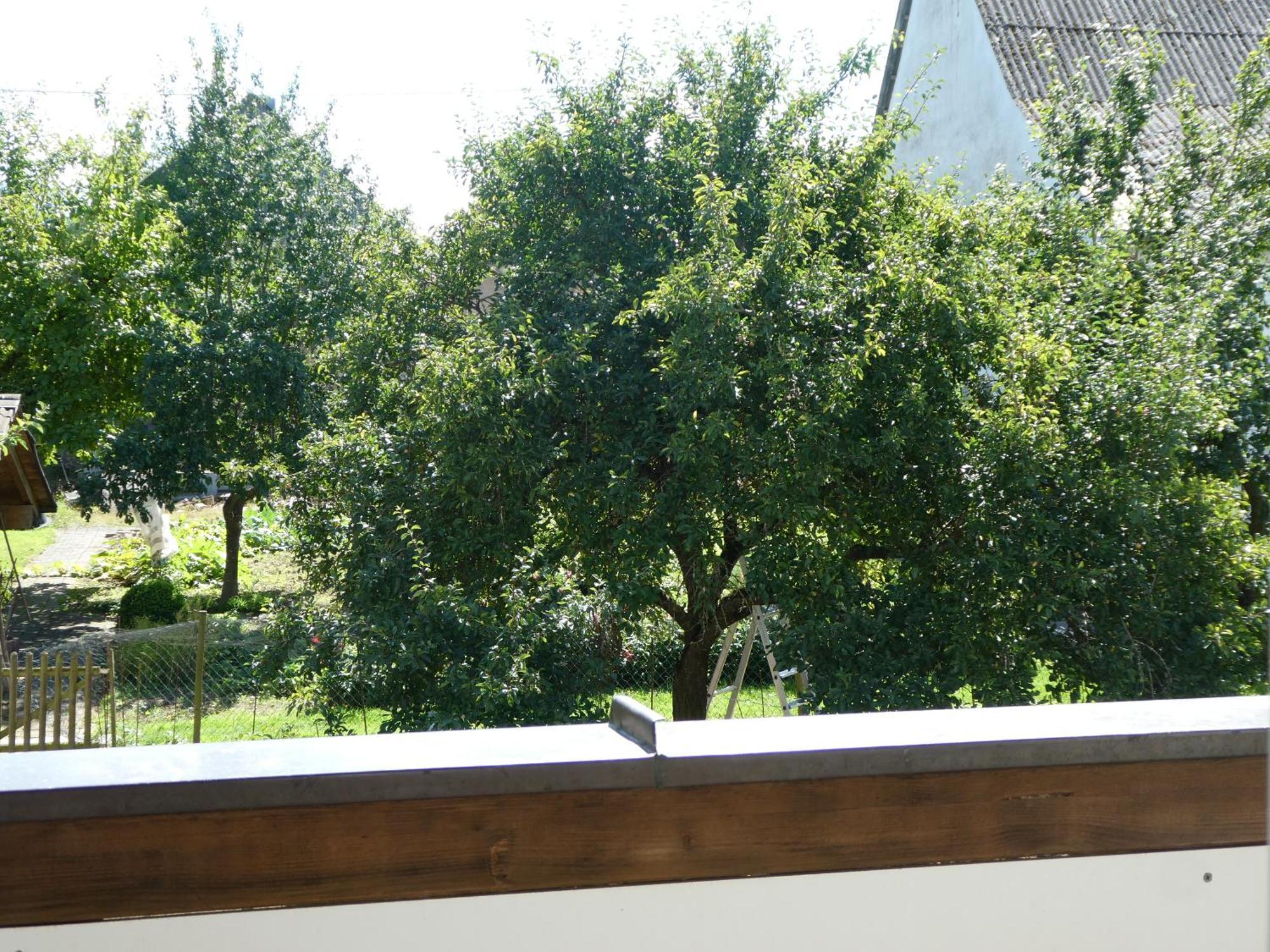 Waldesblick, Hotel-Restaurant Lahr  Exterior photo